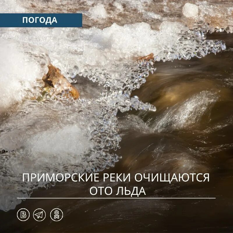 примгидромет прогноз погоды владивосток. погода во владивостоке на завтра. прогноз погоды владивосток. примгидромет прогноз погоды владивосток. примгидромет прогноз погоды владивосток.