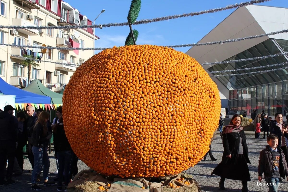 Собери большой фрукт. Огромный мандарин. Самый большой мандарин. Необычные фрукты. Гигантский апельсин.
