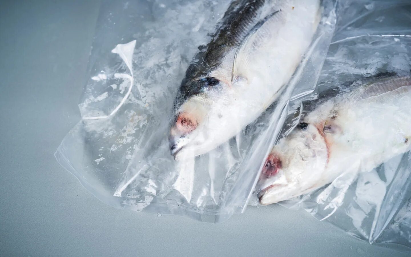 Замороженная рыба. Рыба в пакете. Размороженная рыба. Сколько размораживать рыбу