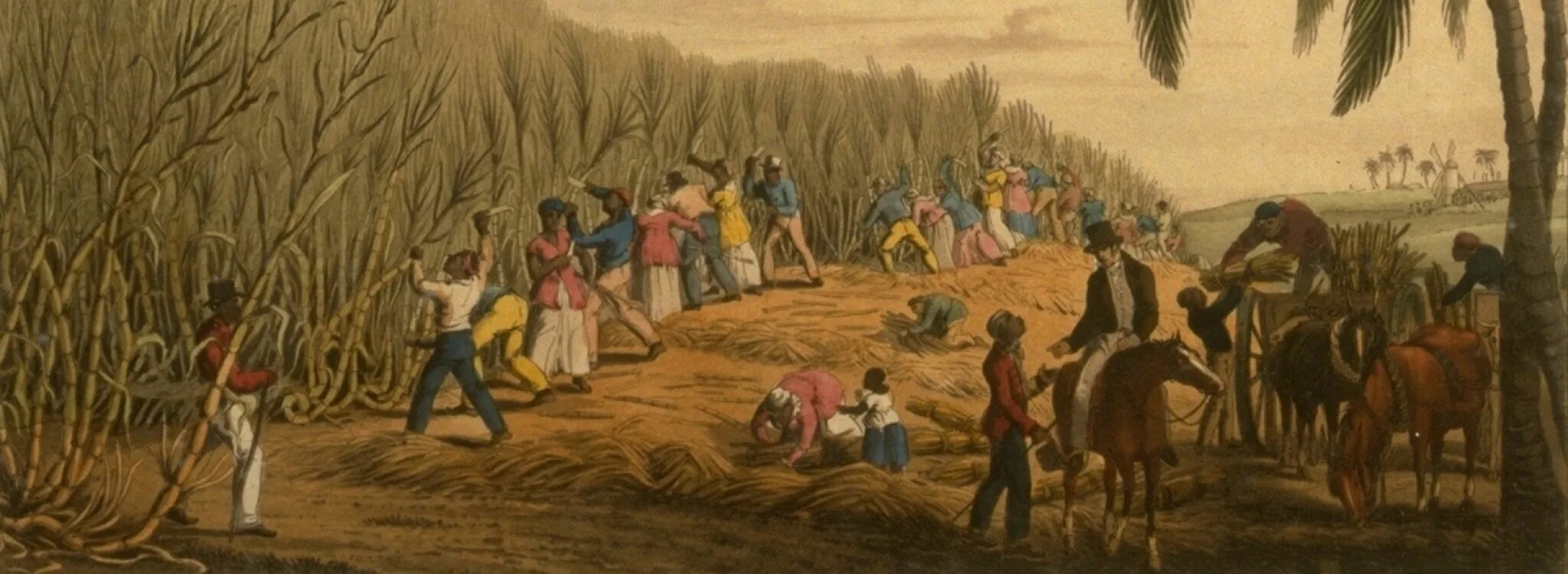 Плантации сахарного тростника 19 век. Работорговля Англия 18 век. Рабство в США 19 век на плантациях хлопка. Рабы на плантациях. История чернокожих