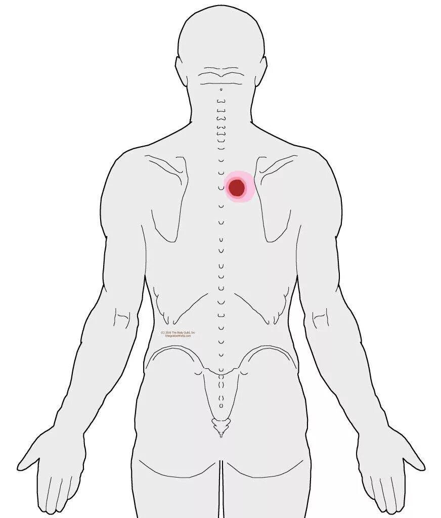 Иррадиация боли в левую лопатку. Локализация боли в спине. Точка между лопатками. Точка между лопаткой и позвоночником.