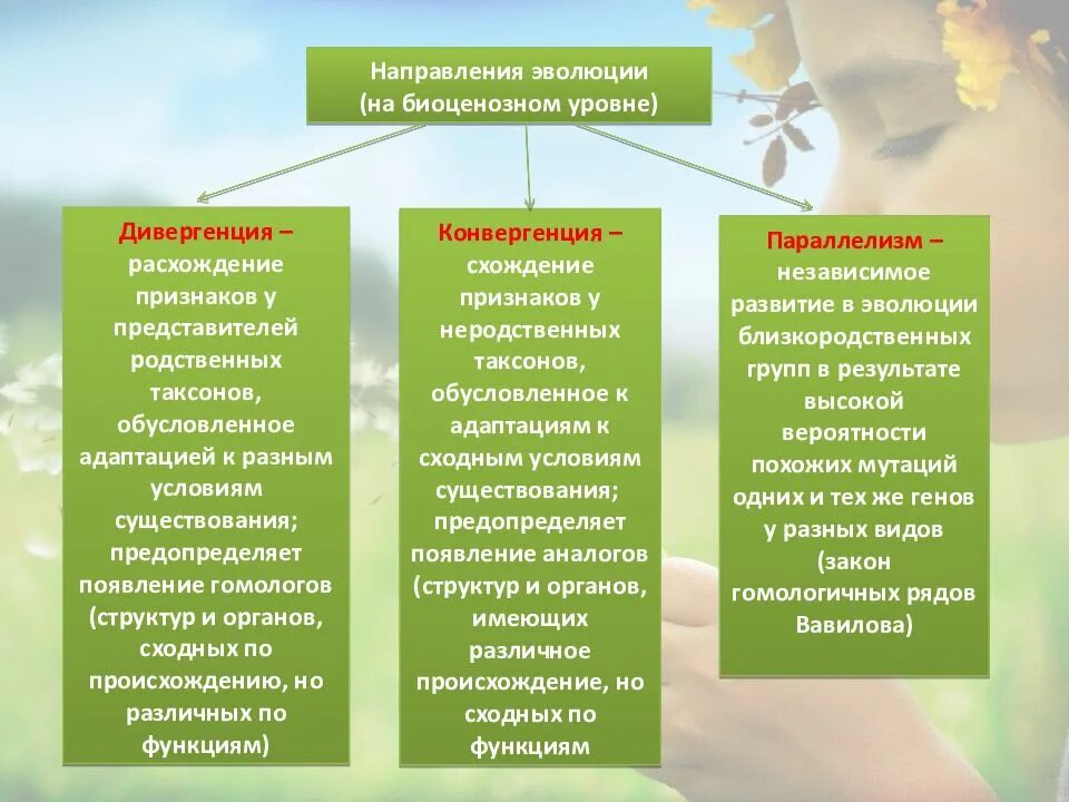 Какие направления органической эволюции привели к формированию. Направления эволюции.