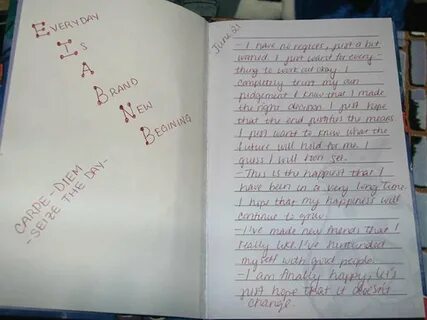 Diary entry перевод