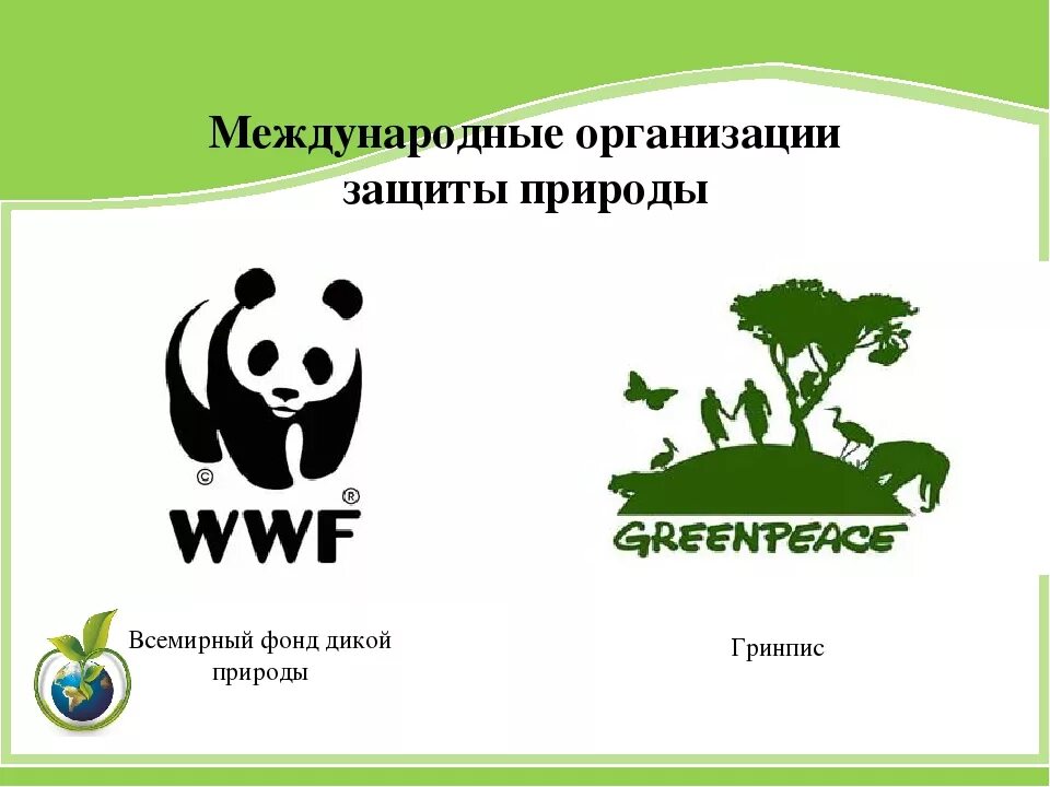 The world wildlife fund is an organization. Всемирный фонд охраны дикой природы. Гринпис Всемирный фонд дикой природы. Международные организации охраны природы Гринпис. Организации по охране животных.