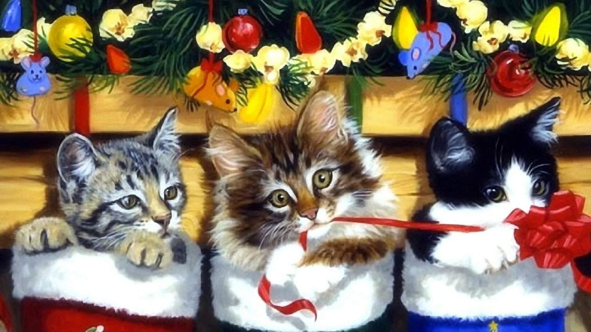 Кошечка последний. Новогодние коты. Рождественские коты. С Рождеством котик. Новогодние открытки с котиками.