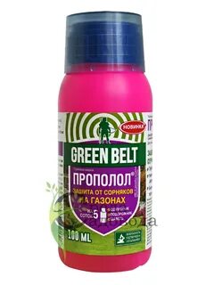 Green belt грант