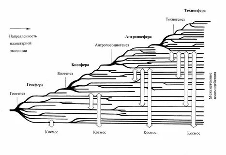 Антропосфера