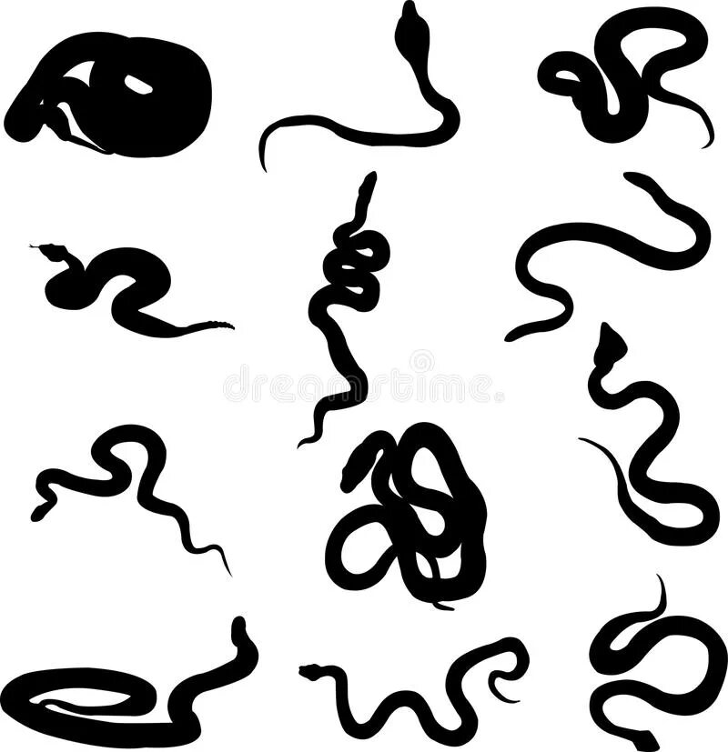 Smoke snake