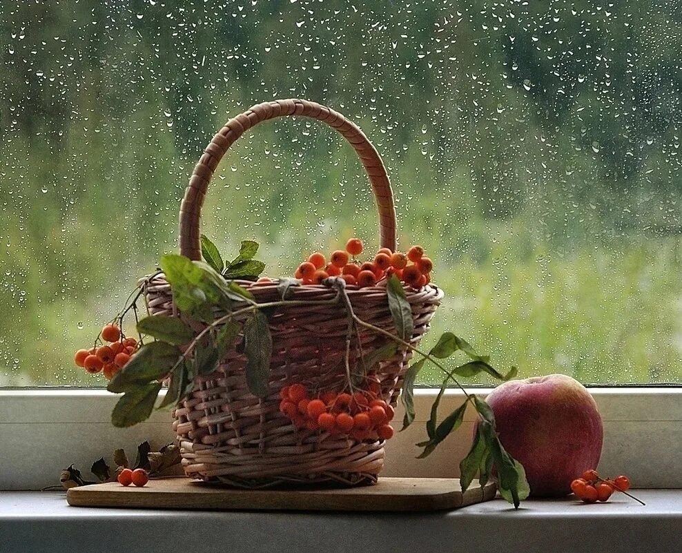 Свежего летнего дня