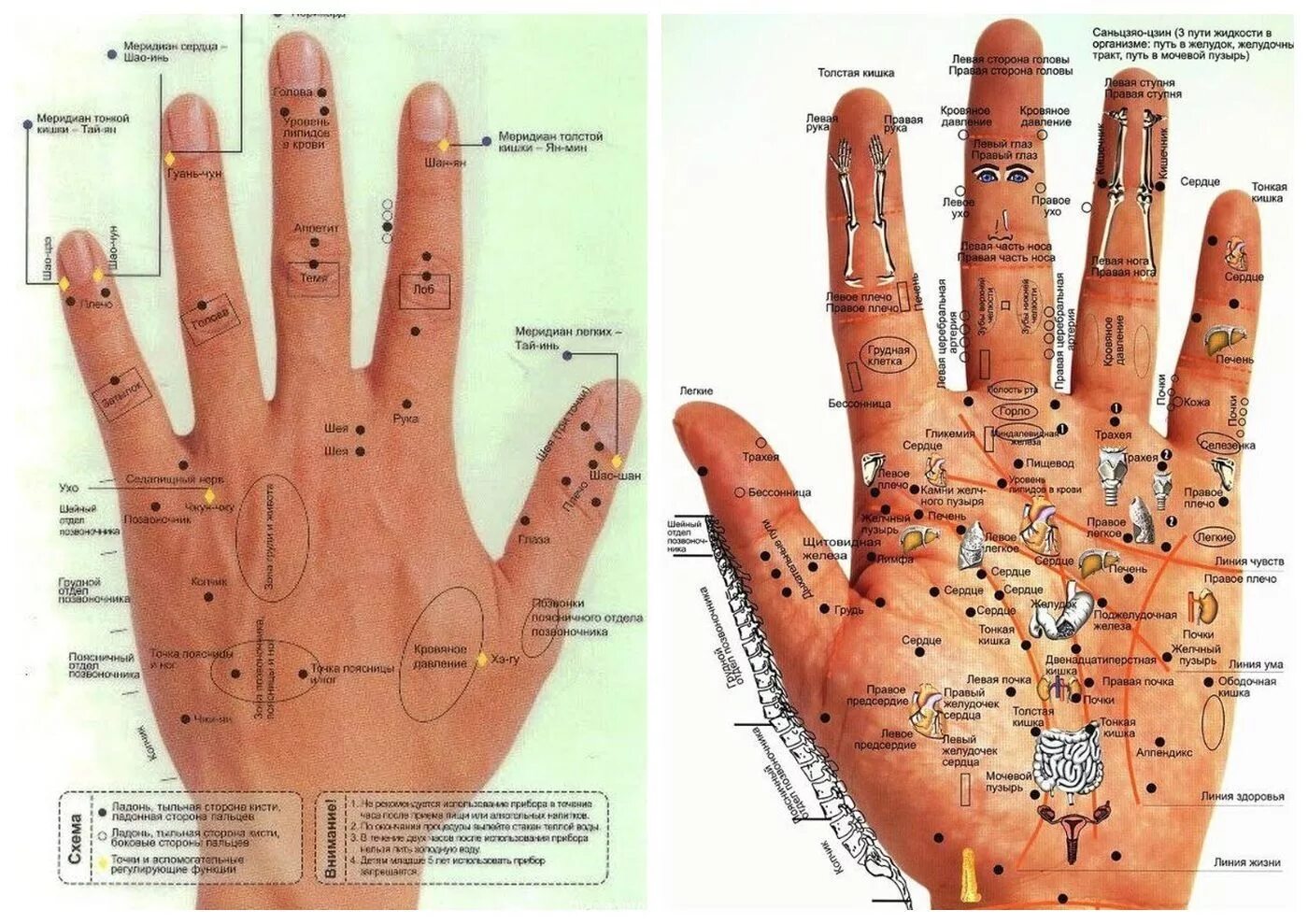 Определить заболевание по рукам. Лечебные точки на ладонях. Болезни по точкам на руке. Больные точки на ладони. Акупунктурные точки на ладони.