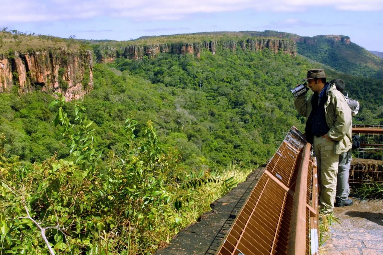Какие ископаемые в бразилии. Национальный парк жау в Бразилии. Национальные парки жау в Бразилии. Природные ресурсы Бразилии. Туристские ресурсы Бразилии.
