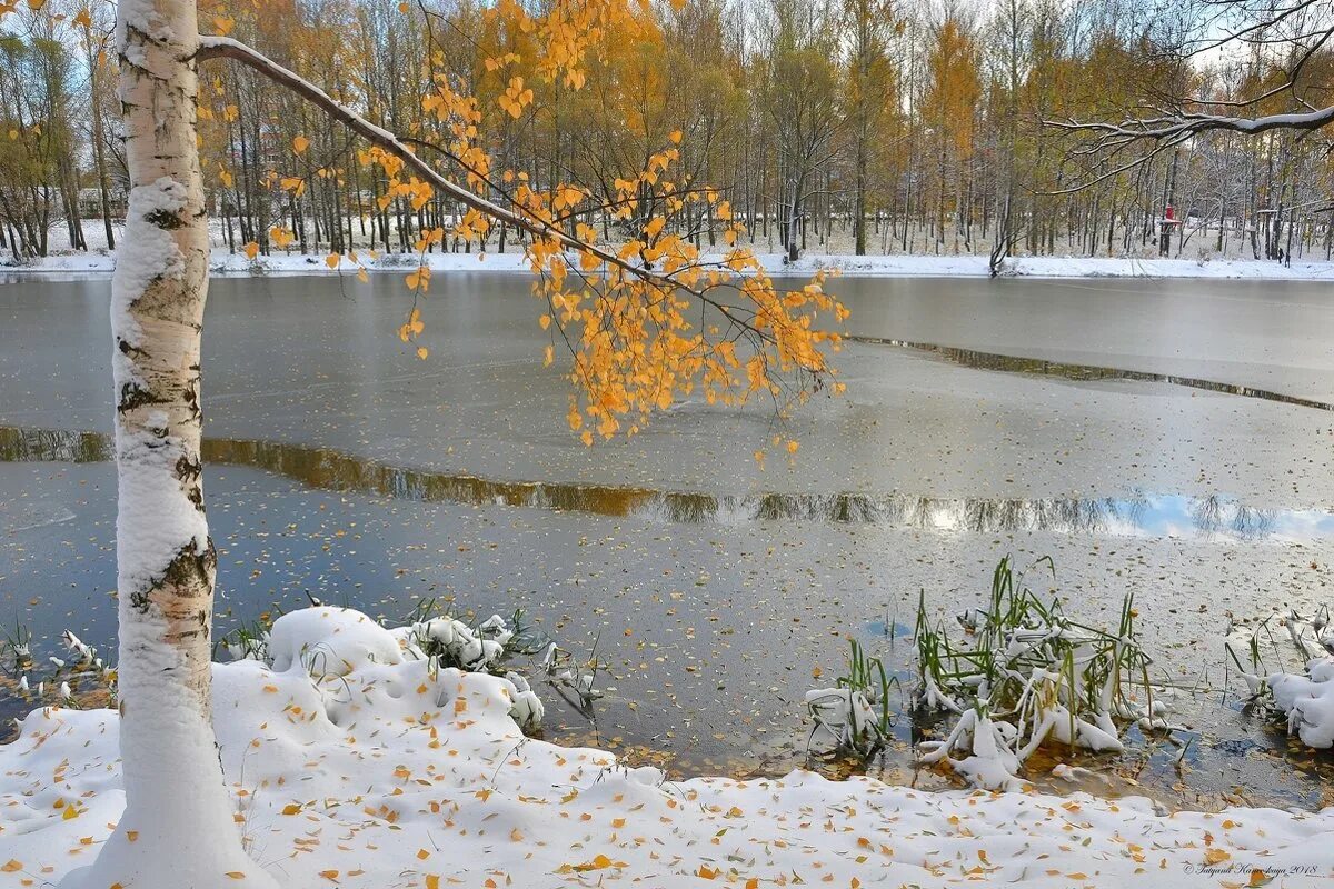 Где наступила зима. Предзимье в городе. Осень, наступающая зима. Первый снег анимация. Наступила зима.