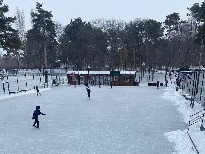 Каток дельфин расписание. Каток парк Алые паруса Воронеж. Каток в парке Алые паруса Воронеж. Каток Олимпик Воронеж. Парк Алые паруса Воронеж стадион каток.