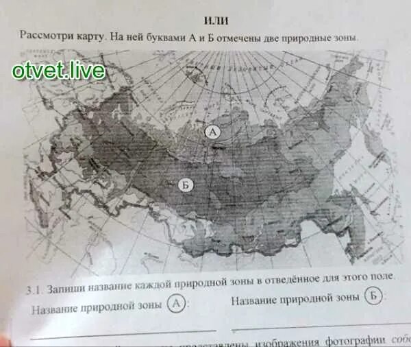 Природные зоны россии впр ответы. Название природной зоны а и б 4 класс окружающий мир ВПР. Рассмотри карту России на ней буквами. Название природной зоны а и б. Рассмотри на карте природные зоны а и б.