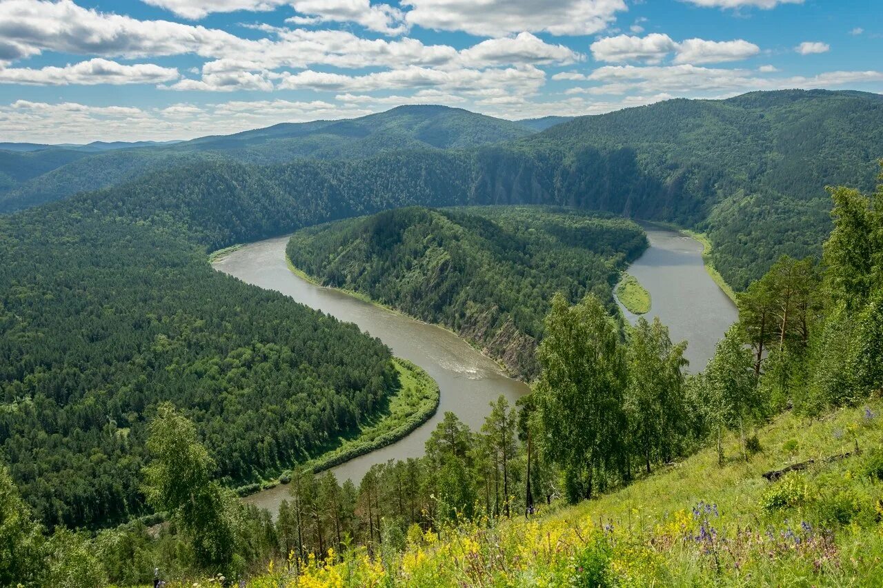 Главная река красноярского края. Река Мана Манская петля. Река Мана Красноярск. Красноярский край река Мана Красноярский. Манская петля Красноярский.