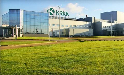 Компания истра