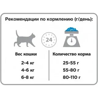 Как часто кормить кошку