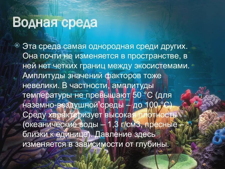 Пища в водной среде обитания. Водная среда жизни. Основные среды жизни. Водная среда.. Особенности обитателей водной среды. Сообщение по теме водная среда жизни.