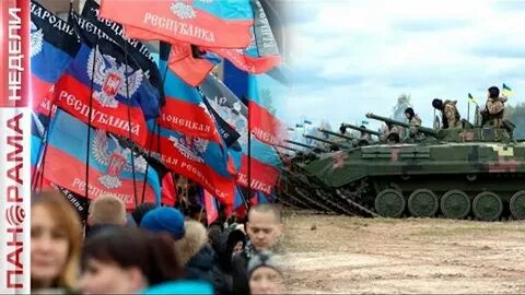 Днр недели