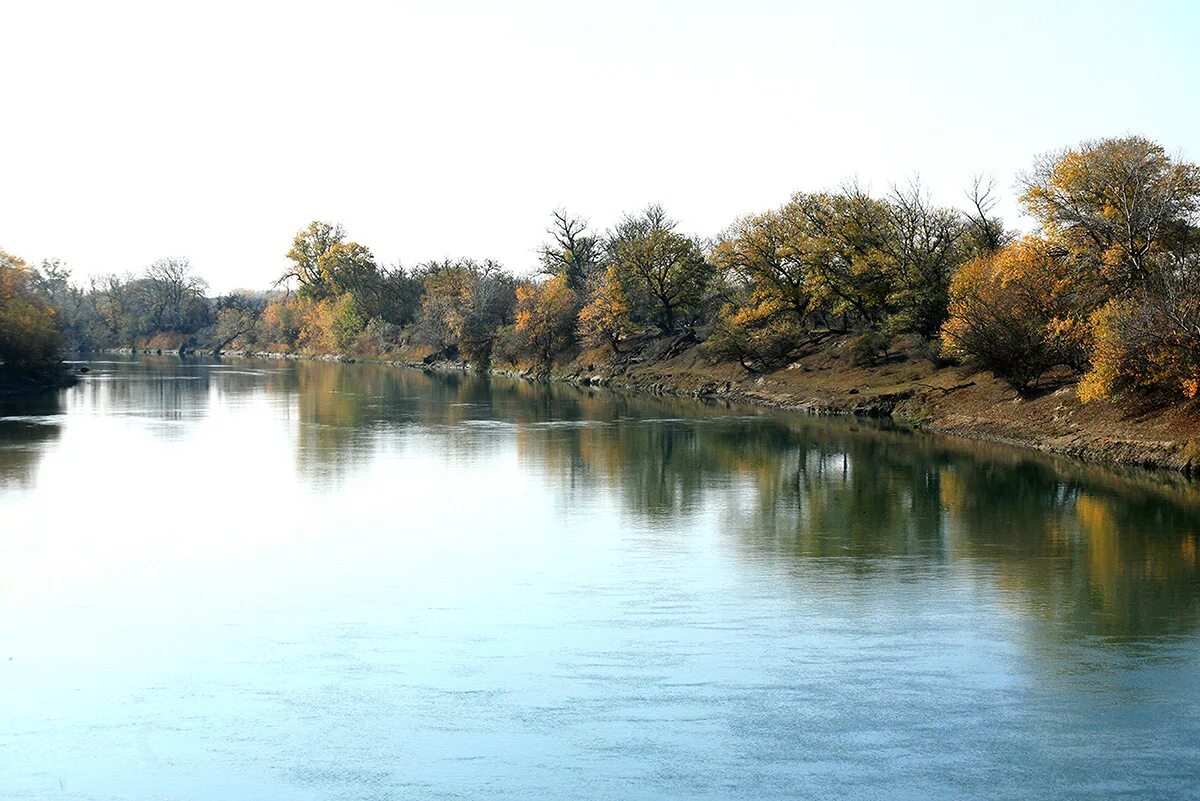 Большая сакма саратовская область. Сулак саратовская область краснопартизанский район. Село сулак саратовская область. Сулак саратовская область краснопартизанский район. Погода сулак саратовская.