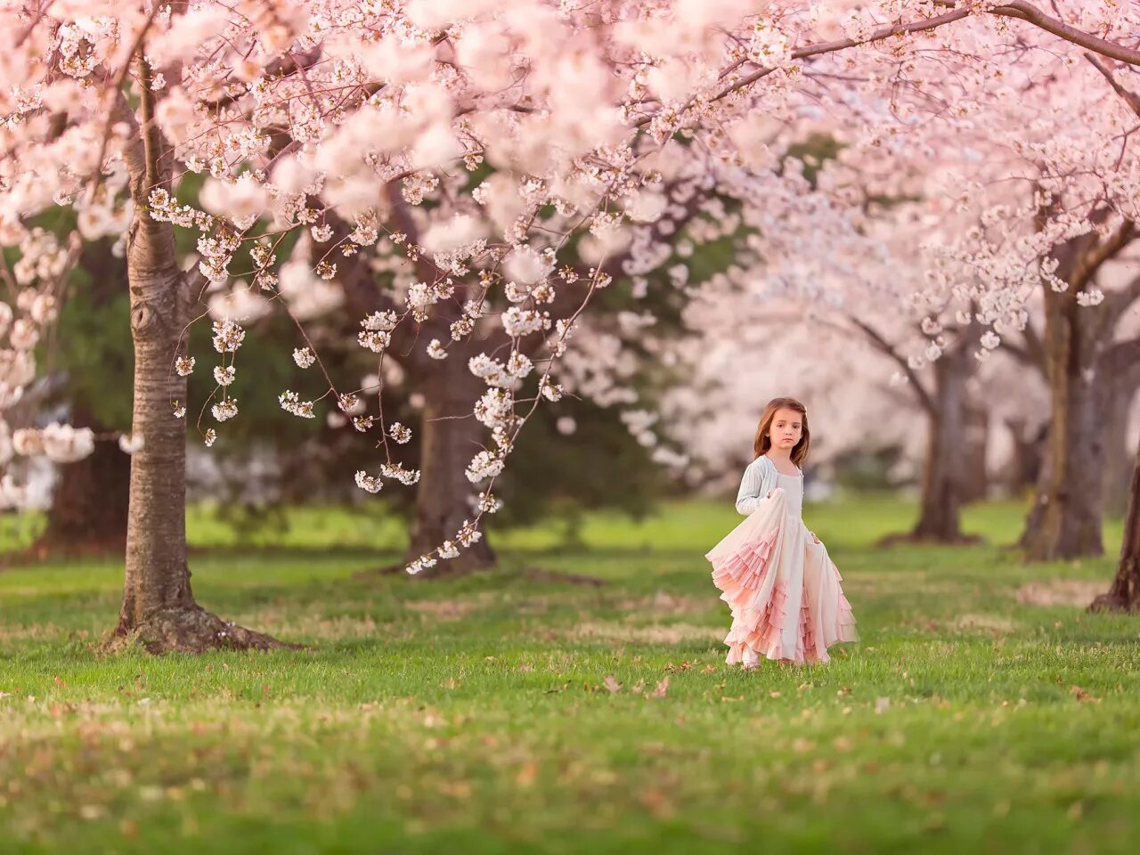 Spring condition