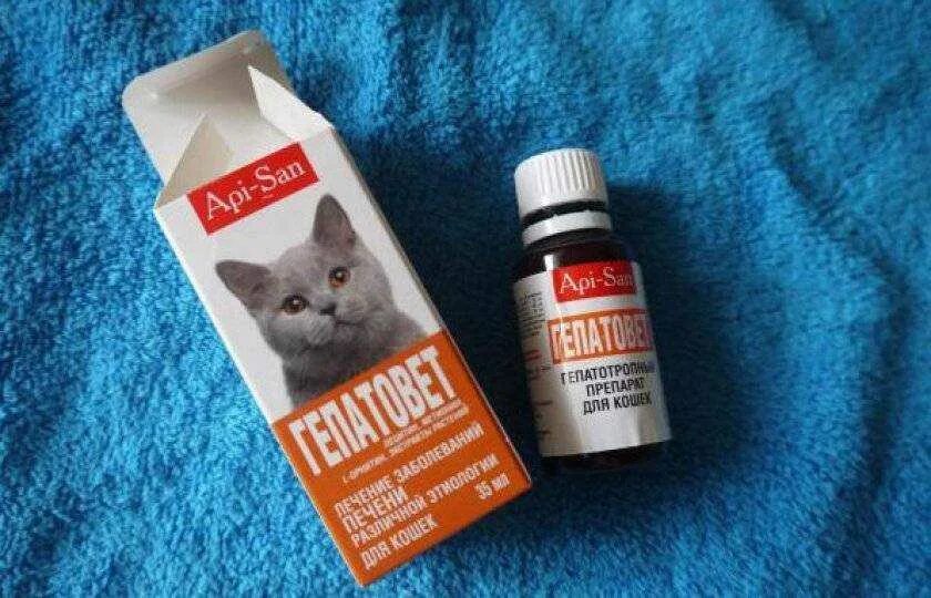 Средства от интоксикации для котов. Гепатовет. Лекарство для печени для кошек. Печеночные препараты для кошек.