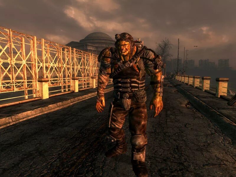 Fallout 3 сохранения. Фоллаут фокс. fallout 3. fallout 3 mods. фоллаут нью вегас город гулей.