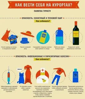 Правила год путешествий