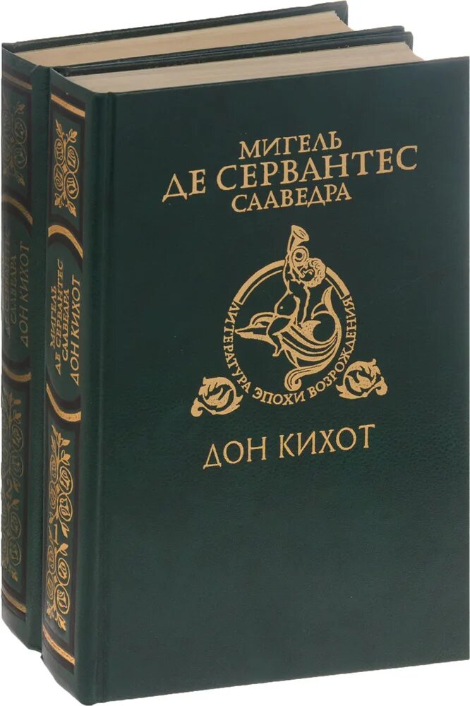 Книги про дон. Мигель де Сервантес Сааведра хитроумный Идальго Дон Кихот Ламанчский. Хитроумный Идальго Дон Кихот Ламанчский книга. Сервантес Дон Кихот.