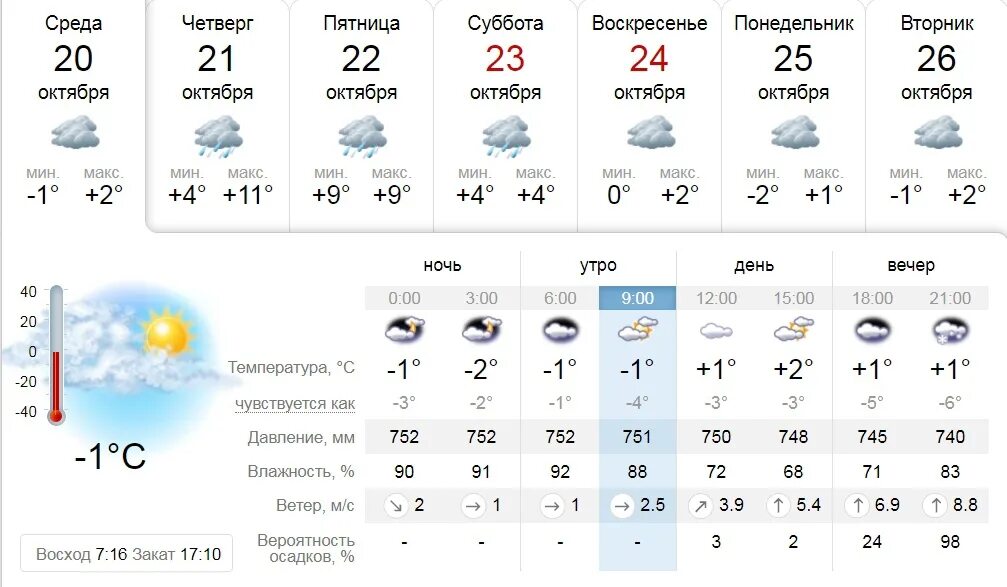 Погода димитровград на 10 дней точный самый