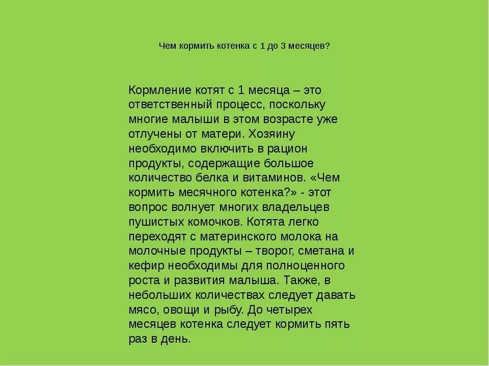 Чем кормить месячную кошку. Кормить 1 месячного котенка. чем кормить котёнка в 2 месяца. чем можно кормить котенка в 2 месяца. как кормить месячного котенка.