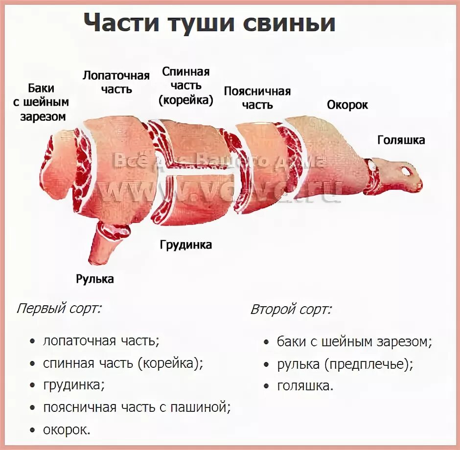 Классическая схема разруба свиной туши. Разделка туши свиньи схема с названием частей. Рулька свиная схема разделки. Разделка мяса свинины схема. Названия частей свиньи