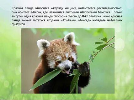 Сообщение малая