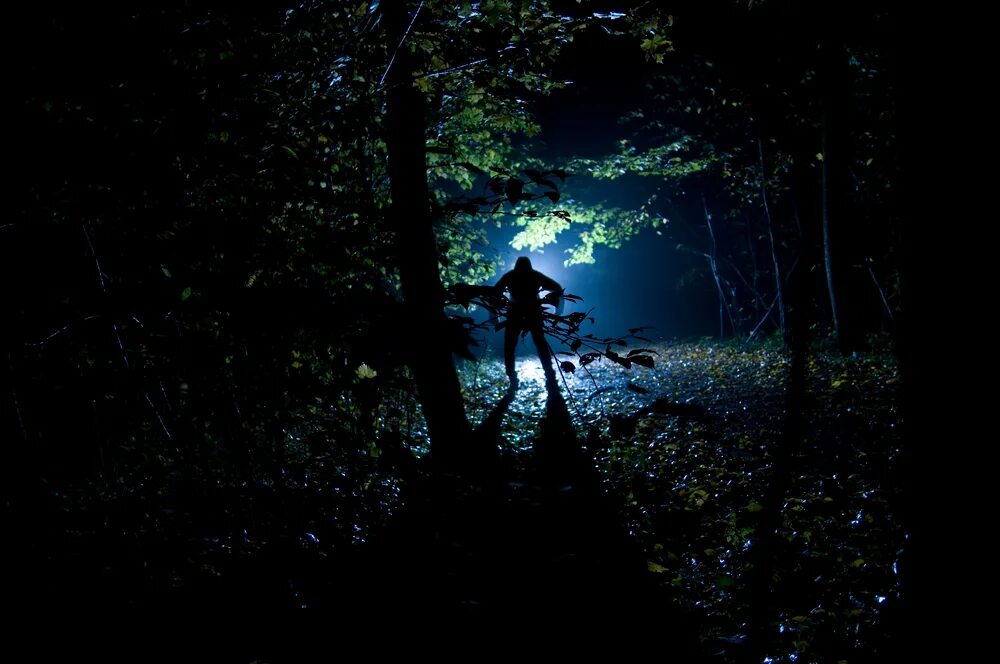 Человек в ночном лесу. Гулять ночью в лесу. Ночью в лес пойдешь. Человек в лесу ночью. Свет фонарика в лесу.