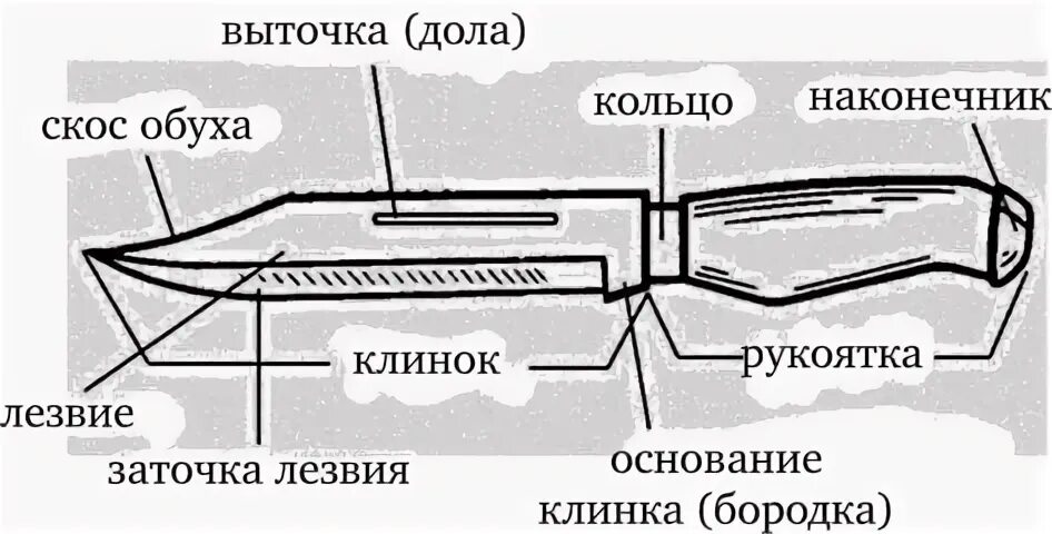 Колюще режущие предметы судебная медицина. Нож это колюще режущее оружие. Части кинжала криминалистика. Части кинжала схема. Части холодного оружия