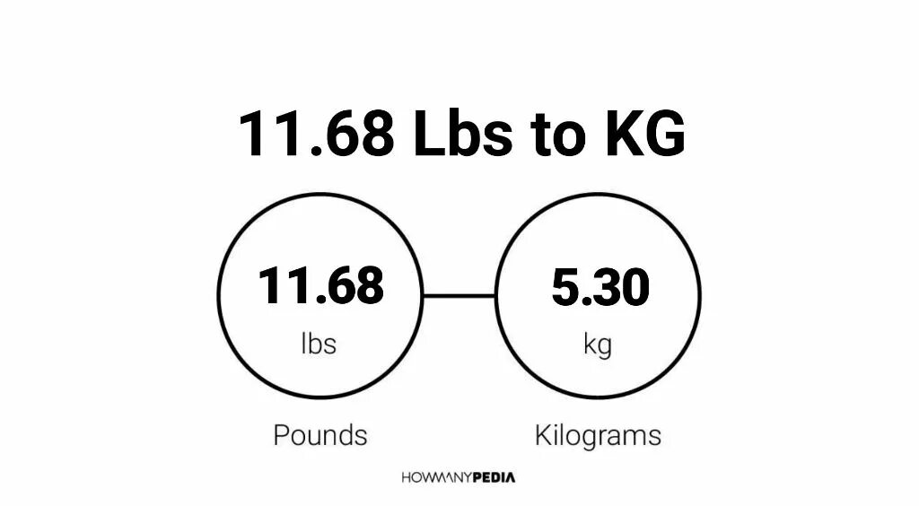 Lbs in kg. Pounds to kg. lbs to kg. 63 kg to lbs. pounds in kg.