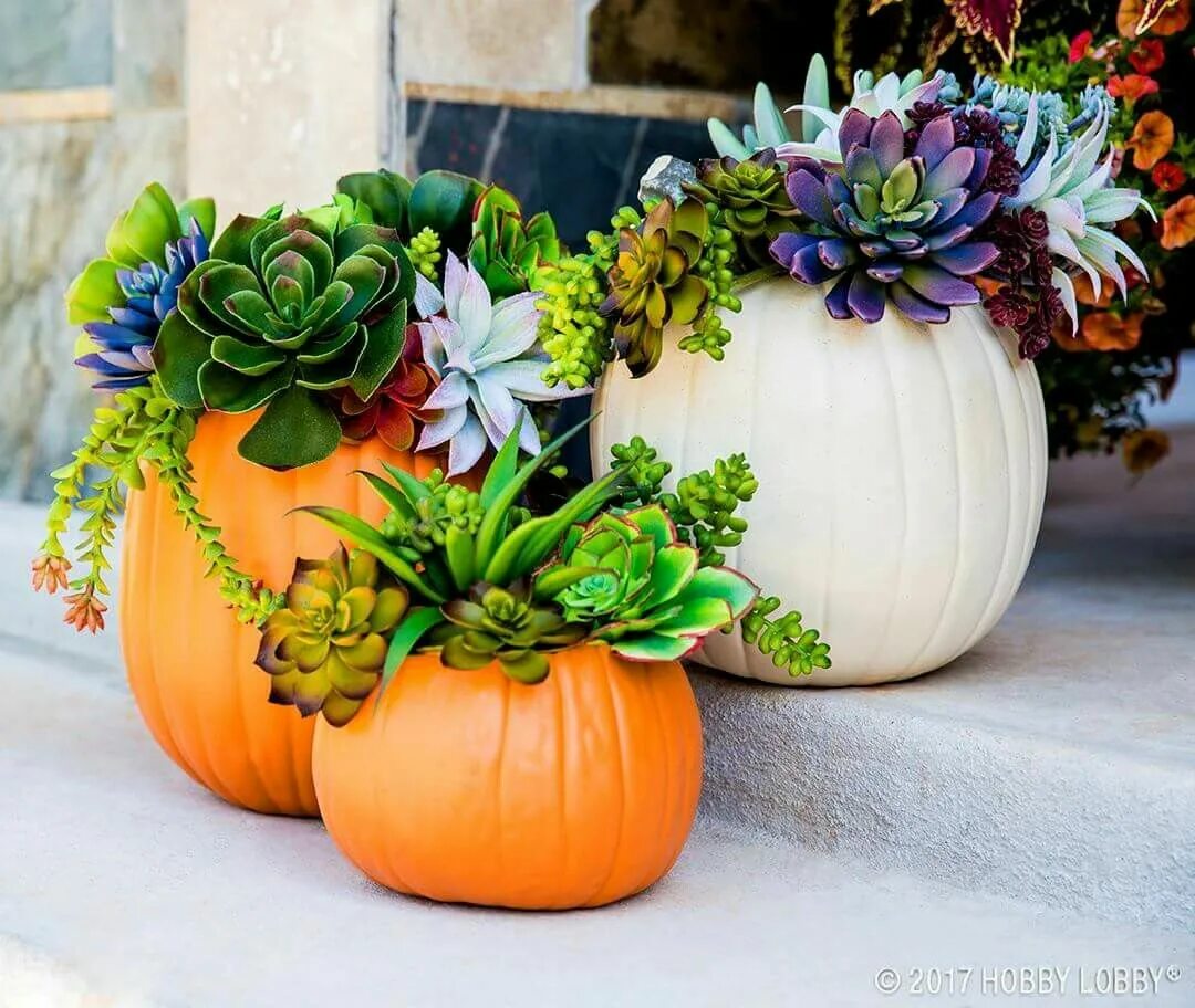 Осенняя экибана в тыкве. Цветочная композиция в тыкве. Композиция тыквы. Кашпо из тыквы. Осенние композиции с декоративными тыквами.