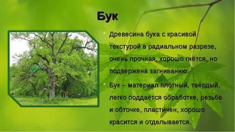 Добро бук это