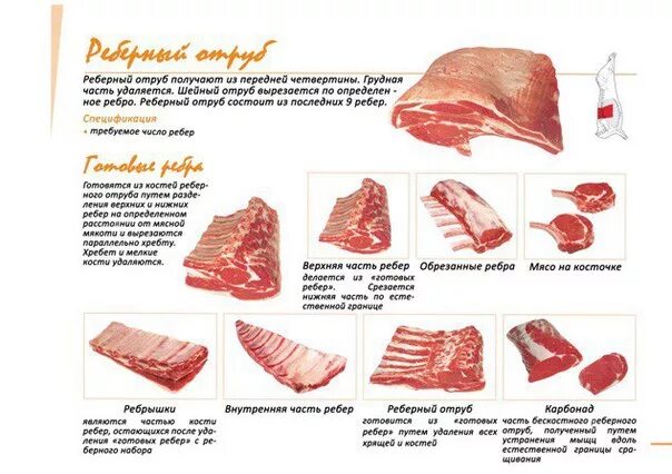 выход мяса из туши свиньи. сколько мяса в костях. сколько весит туша говядины. пищевая ценность мяса. выход мяса свинины от туши.
