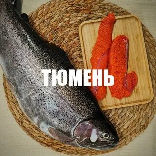 Рефтинская форель екатеринбург