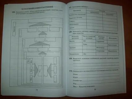 Систематика растений 7 класс биология пасечник слушать