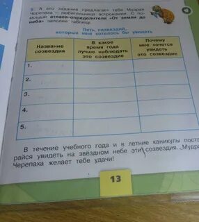 Мудрая черепаха предлагает тебе задание