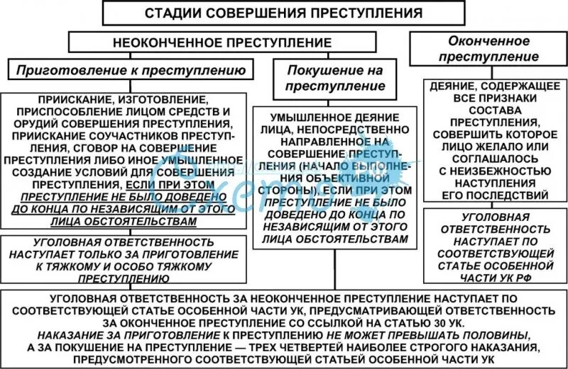 Этапы преступной деятельности