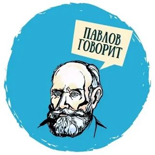 Скажи павлу