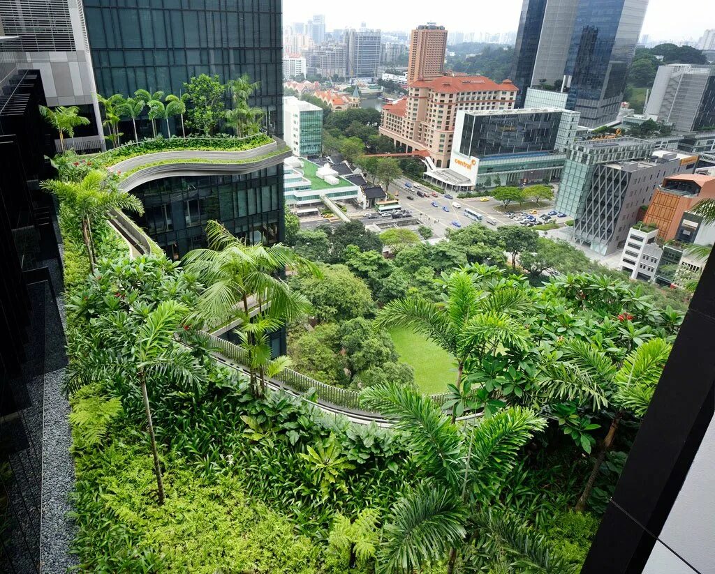 Отель-сад PARKROYAL В Сингапуре. Отель в Сингапуре PARKROYAL on Pickering. Сингапур архитектура Park Royal. Отель сад парк Роял Сингапур.