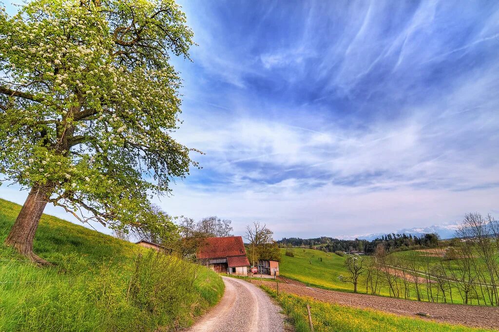 Countryside walks. Деревенская природа. Деревня летом. Поле деревня. Деревенский пейзаж.