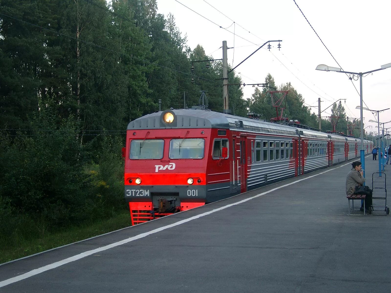 Платформа 47 км Ленинградская область. Станция платформа 47 километр. Электричка. Савеловское направление электричек.