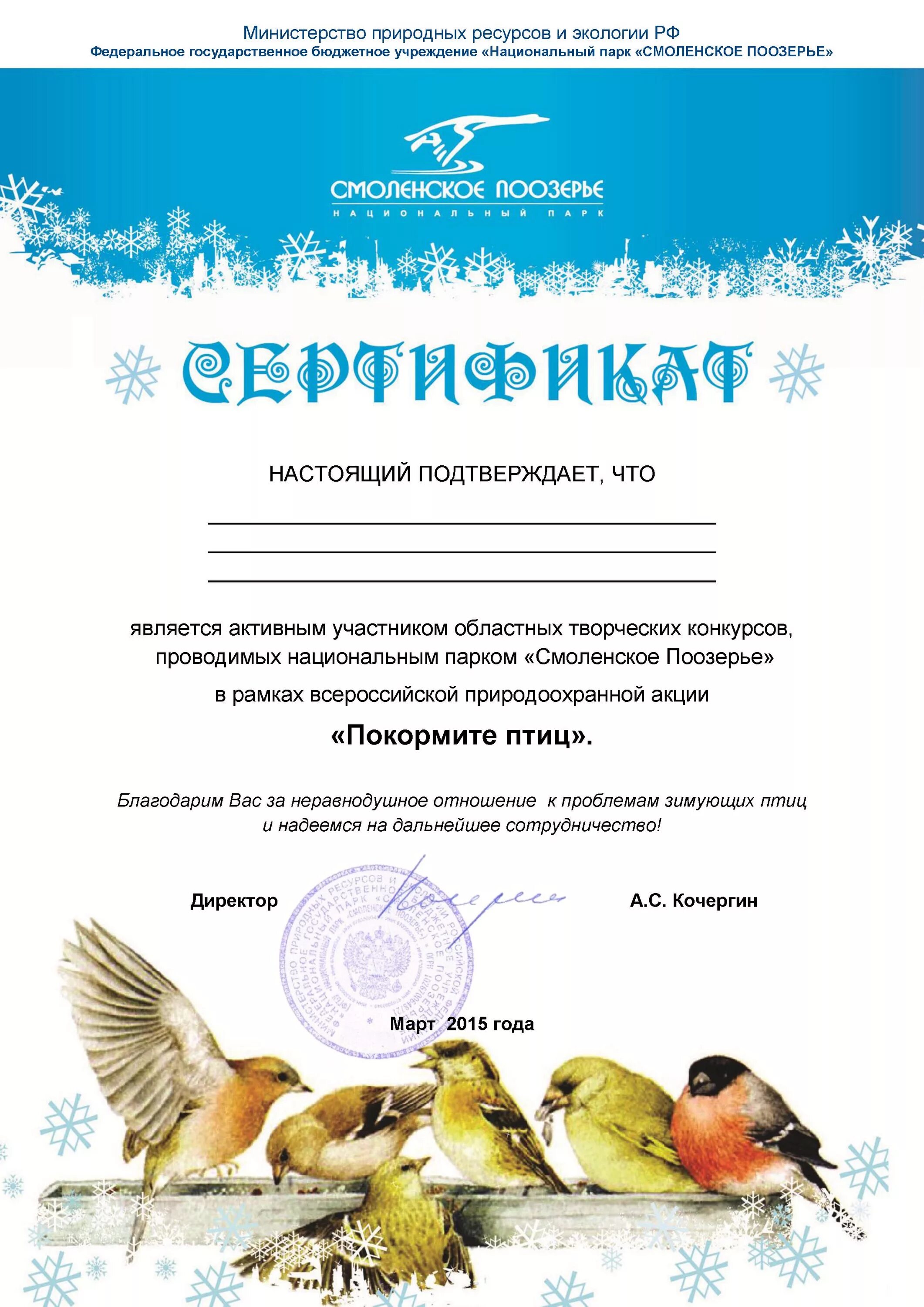 Грамота к международному дню птиц. Арт галерея арт птица. Конкурсы птицы. Диплом кормушка для птиц. Конкурс кормушек грамота.