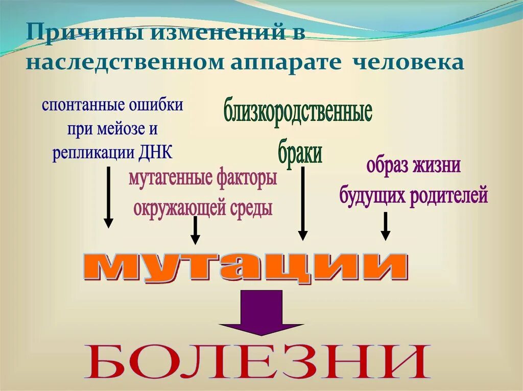 Основная причина наследственных заболеваний. Причины возникновения наследственных заболеваний. Причины наследственных заболеваний человека. Причины и механизмы возникновения наследственных болезней. Факторы вызывающие наследственные заболевания.