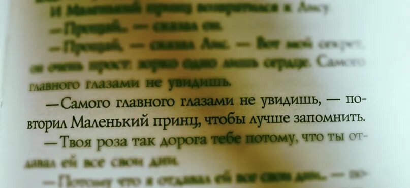Цитаты про май из книг. Фразы из маленького принца. маленький принц цитаты из книги о любви. высказывания из маленького принца. маленький принц цитаты из книги.